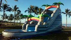 18' Palm Tree Slide 18' Palm Tree Slide